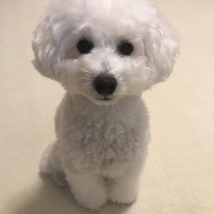 F1f39824 85d6 4c2d 8a93 bc85f62022b1 1509925016408