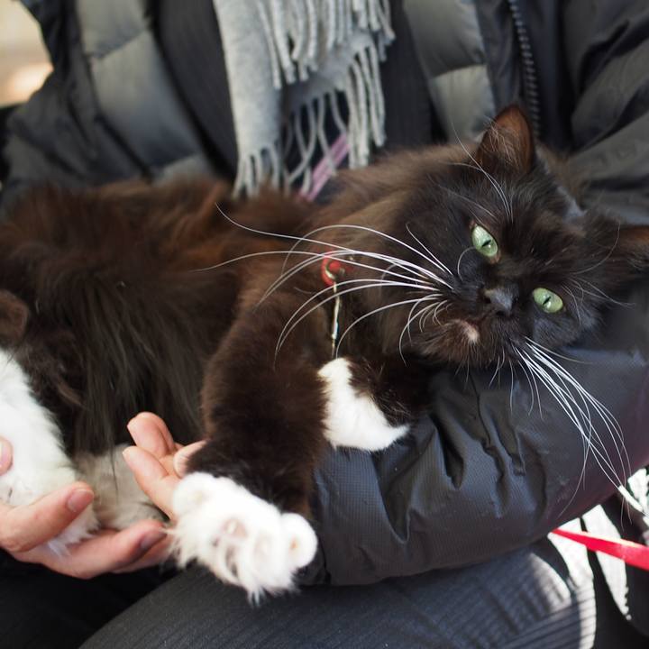 F1f3b3a0 7e81 4251 9d0f d581202ef0e8 1549097233620