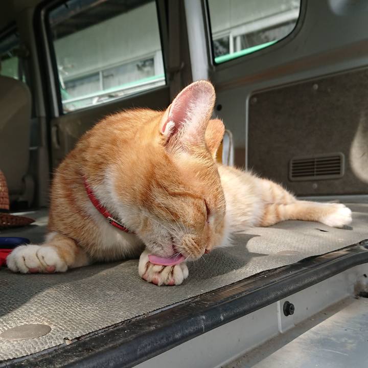 F1f3f25b 53ba 4c68 a962 b176068b1bf1 1570239682014