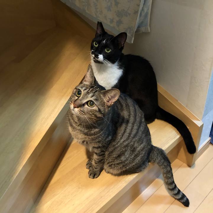 F1f42860 51e2 44f5 8265 bb9136d1973b 1630098057235