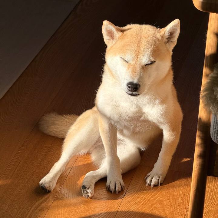 F1f43ea0 2d6f 4f07 994a dd49ef659380 1769044072736