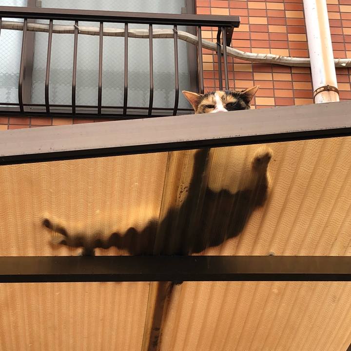 F1f46a06 dd5c 4464 b5be 7936031ace84 1536664139235