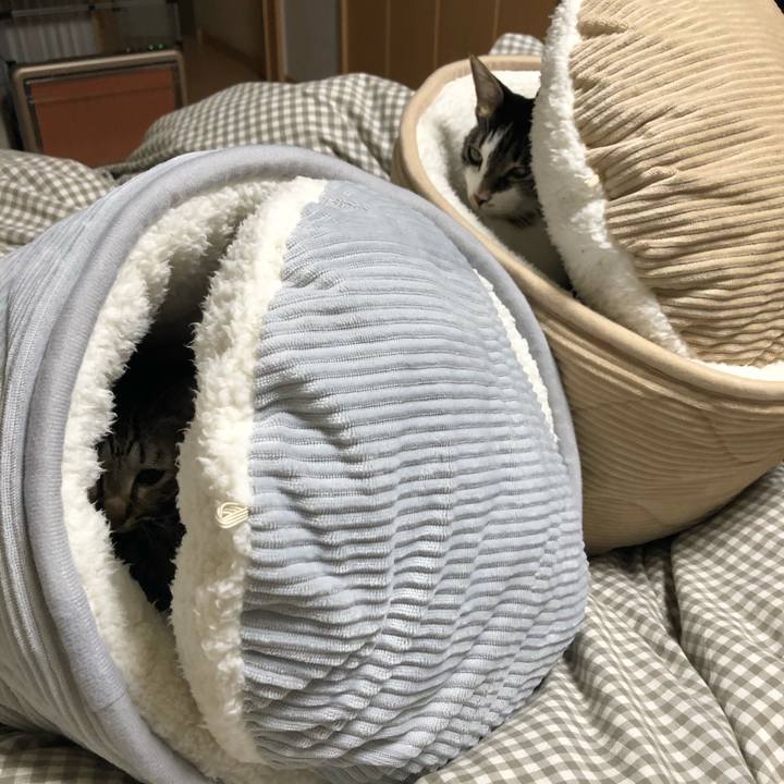 F1f49333 cdee 4392 b02f 052e859d5706 1578152962197