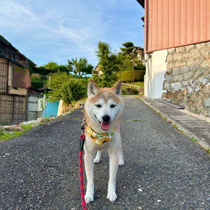 F1f4d0b4 7b06 4497 8bd5 be8cd03b5fa2 1751804420472