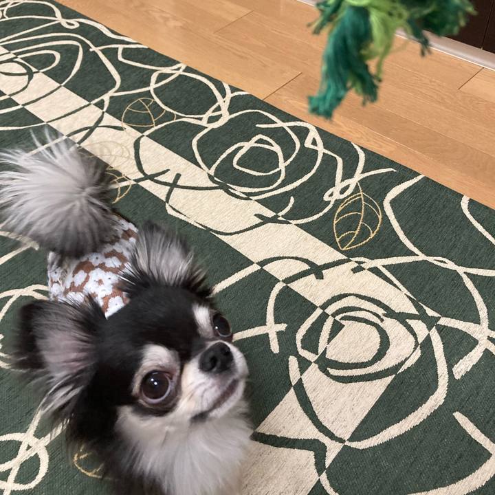 F1f4f05d e3ba 4671 baf5 8f1ce20ca84f 1643464025784