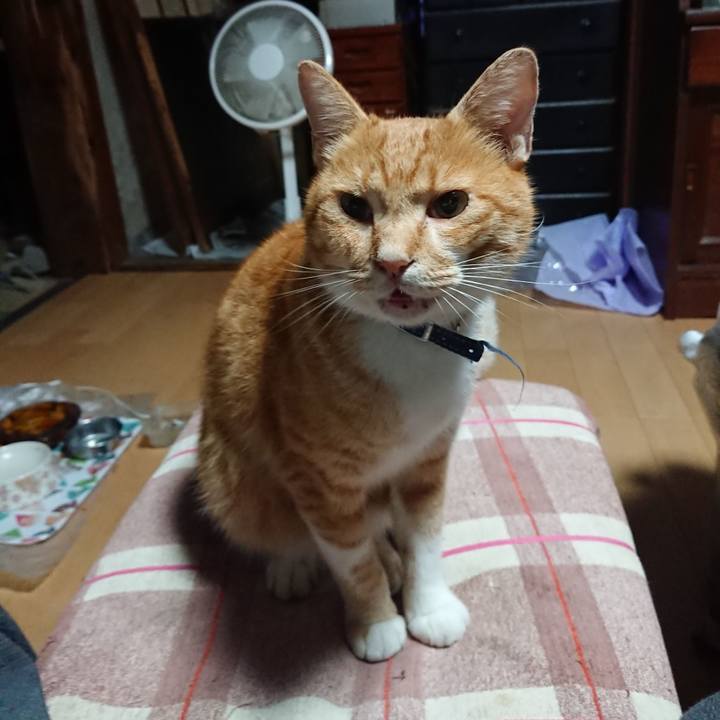 F1f51633 7d28 43a8 a57f 06008af50748 1600287447188