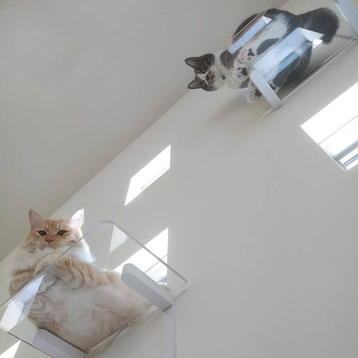 F1f51b2e 5e0b 47b6 9508 5d958f11dc84 1627371523155