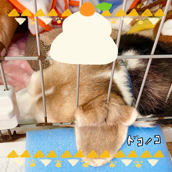 F1f53720 ffa2 46a0 9b9e 42d1fbbe09cd 1704093162815