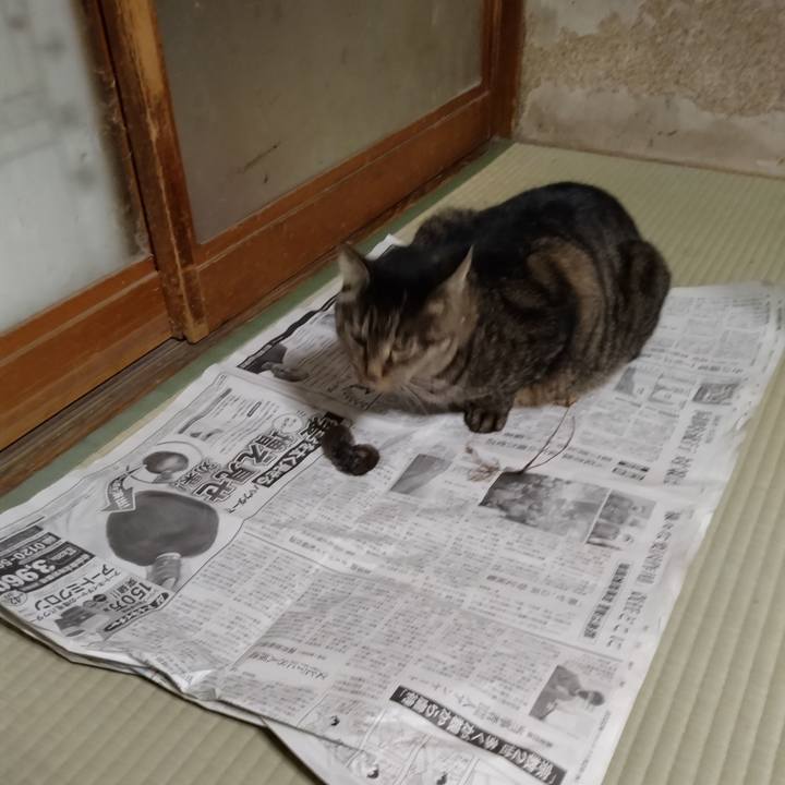 F1f5c0d8 cc9e 4da9 86b3 12079a5263ef 1669025001862