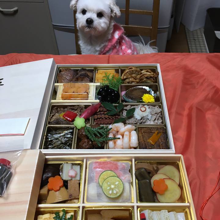 F1f5f619 6a90 4fff b4dd a87d1b2f6297 1514690684406