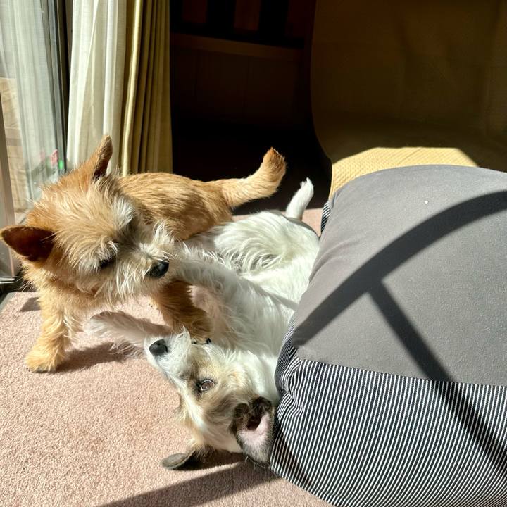 F1f607aa b4ca 4570 a24d 4e956169b56e 1708266668977