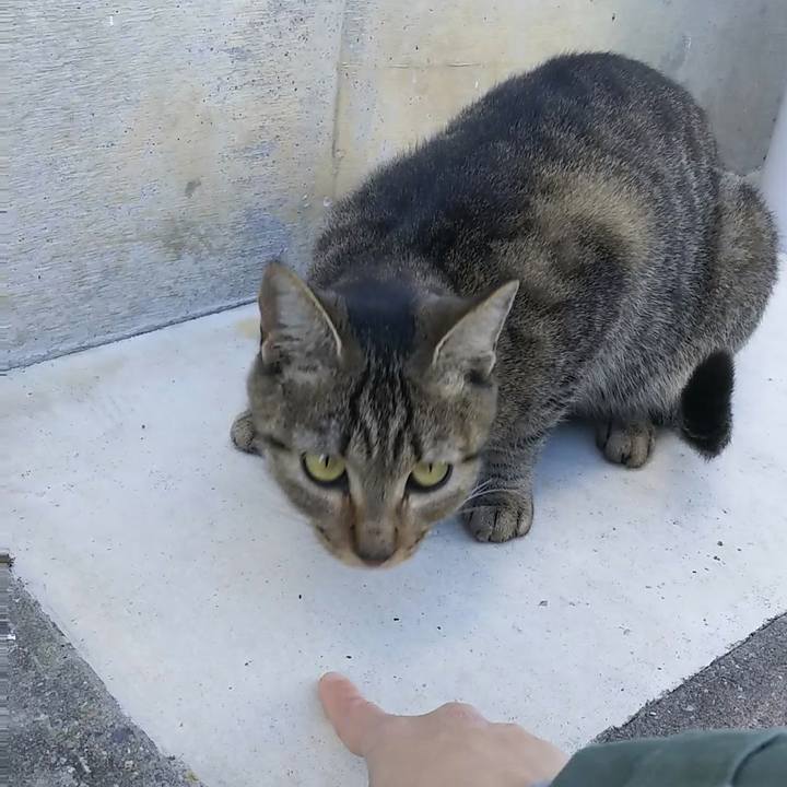 F1f61120 5285 4d10 a8ab 3b6c475c1774 1512532472252