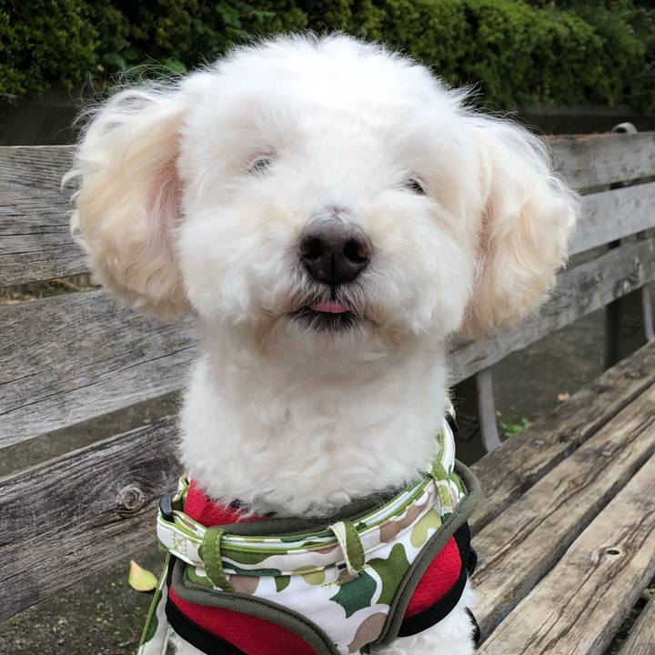 F1f63cbb 40ed 4916 be63 8496955c3e90 1538924463480