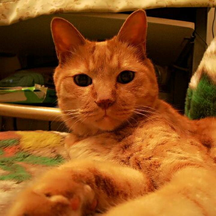 F1f63ddd b72c 4e1e bd81 25fa0c5c2286 1511751097809