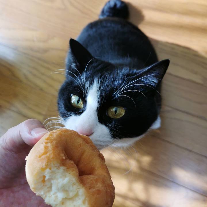 F1f64f46 2e4d 4812 baf8 09370b97fa23 1642915431743