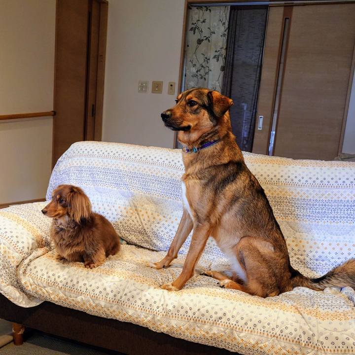 F1f6635f b9c4 45ed 9111 43404bb53c81 1748567568890