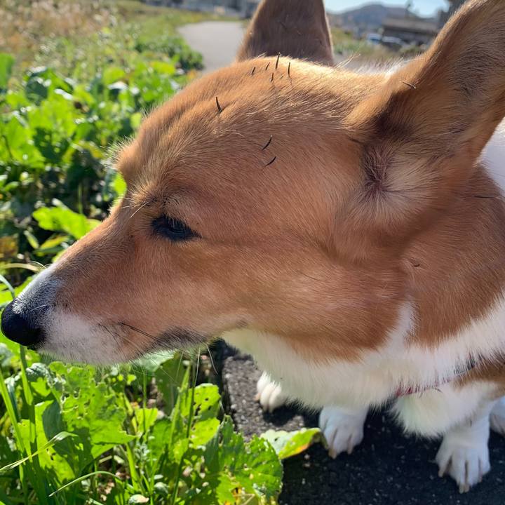 F1f669f0 1c25 4138 86ee f41e930a4ae2 1637897714289