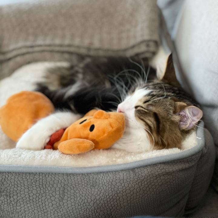 F1f68ac0 d713 4afa 914f a6d9ffd59a6c 1636234809673