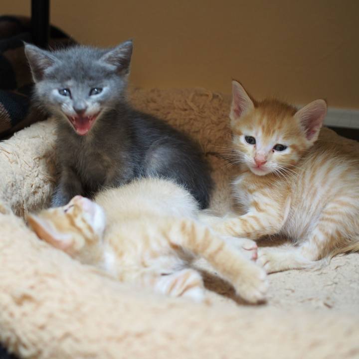 F1f6ceba f09b 4a87 a5fd ab9953214903 1569901776941