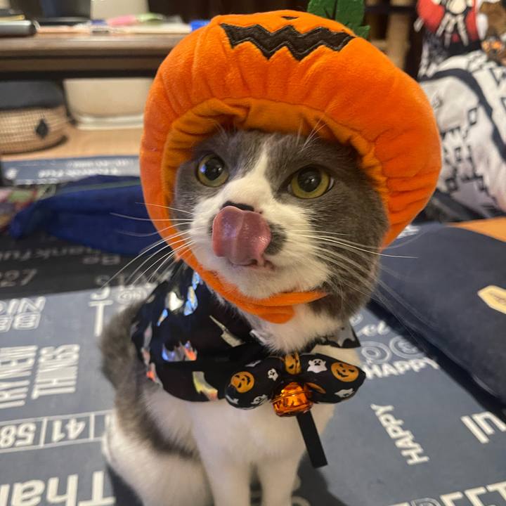 F1f6e2b2 4de2 4b47 9866 27afa439485a 1698740133577