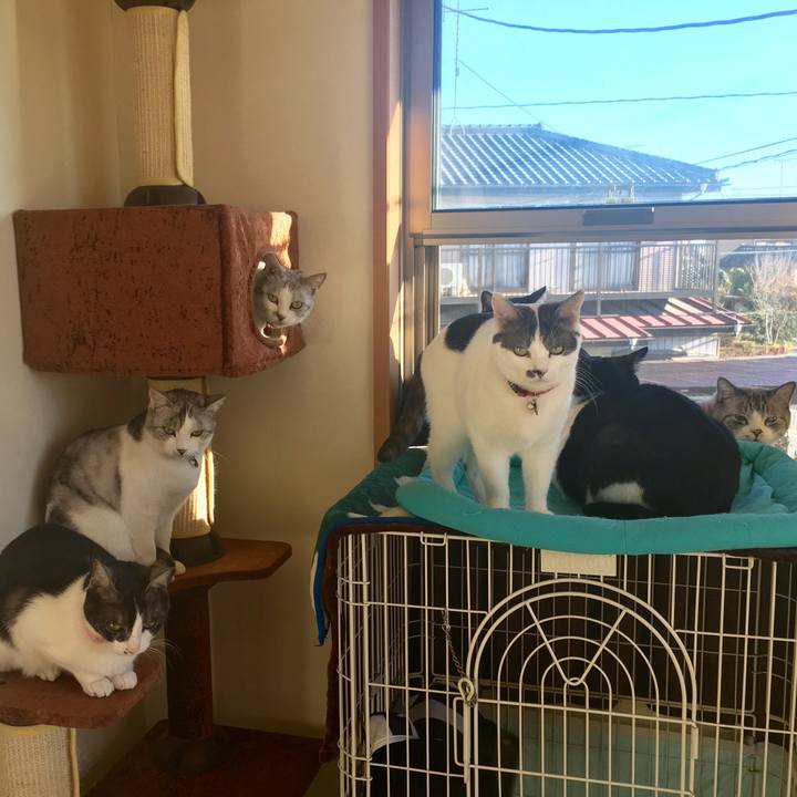 F1f6ef82 0a7f 4ad4 b55a 29e0e80b0f57 1514169171046