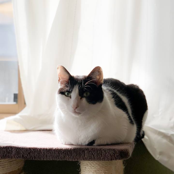 F1f7026f d797 41de b8f9 56b0b741a2e3 1589505392811