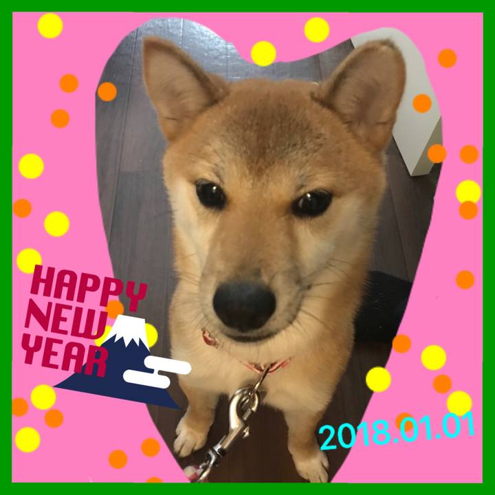 F1f71d7d ee06 46ec 8074 aa150ccea9f5 1514732779957