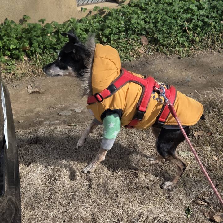 F1f72954 ff73 4188 953c 9870d30bef1d 1769740332162