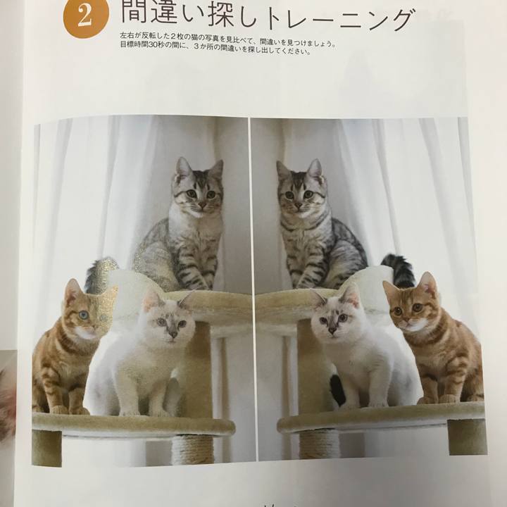 F1f736c8 a07d 43b7 83f2 5c37cccbf5ad 1520658466033