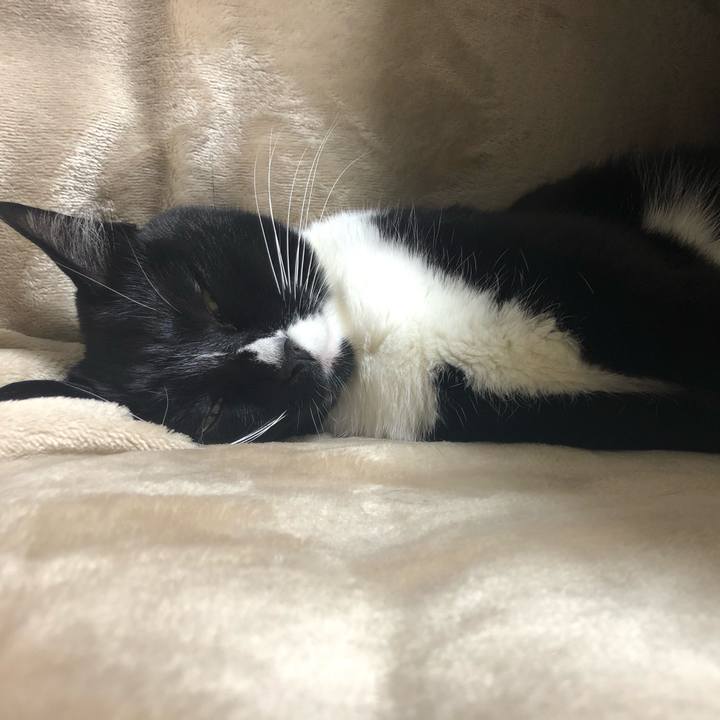 F1f73e30 440d 406c bf91 96634854cb05 1549233196991