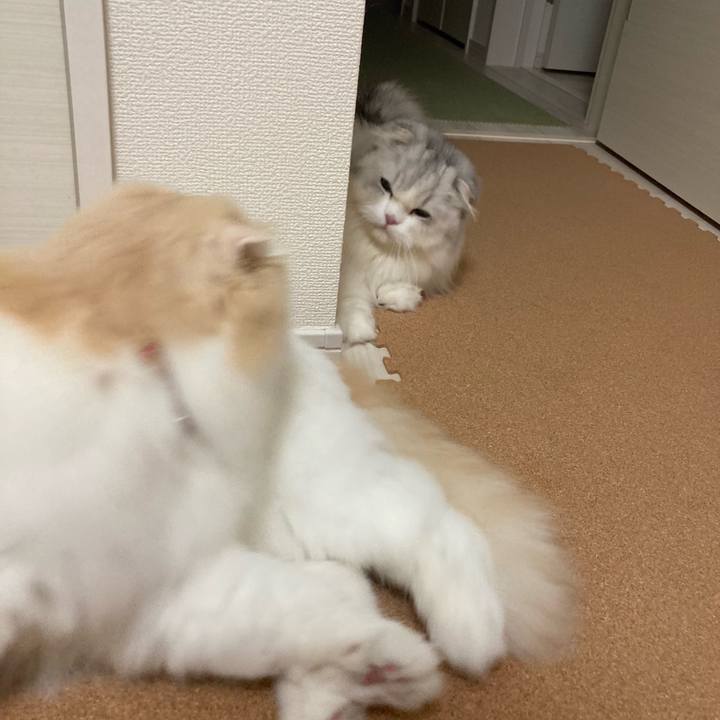 F1f75421 f7d8 4f21 b83c 7f4b1bad06cf 1659830159256