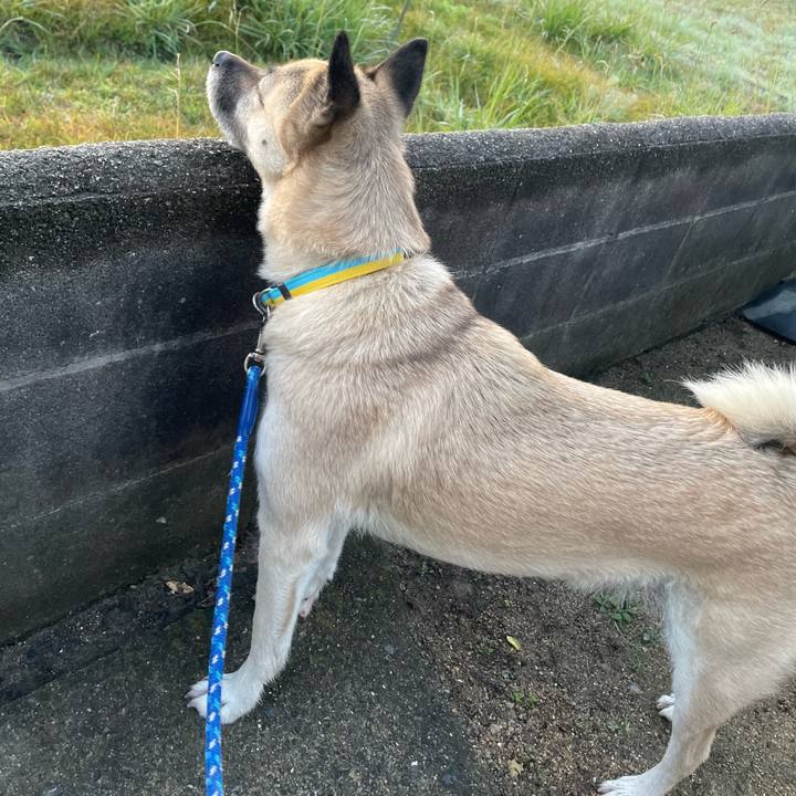 F1f7818c 7bff 466b b3a7 a8cecce01f82 1669032497204