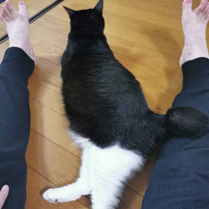 F1f78231 9b59 408e ba02 b3fc16dea5b1 1660016923650