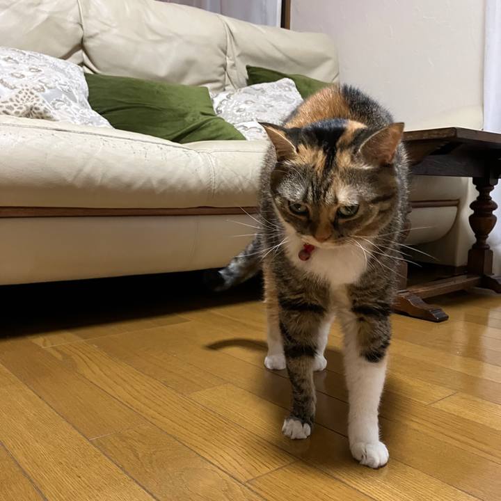 F1f7cf9d bf0c 4e23 815e 3ecc51aa170b 1760018511706