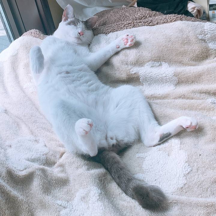 F1f7f5a4 0365 4ccb 98bd 2d5be41641fb 1593731486727