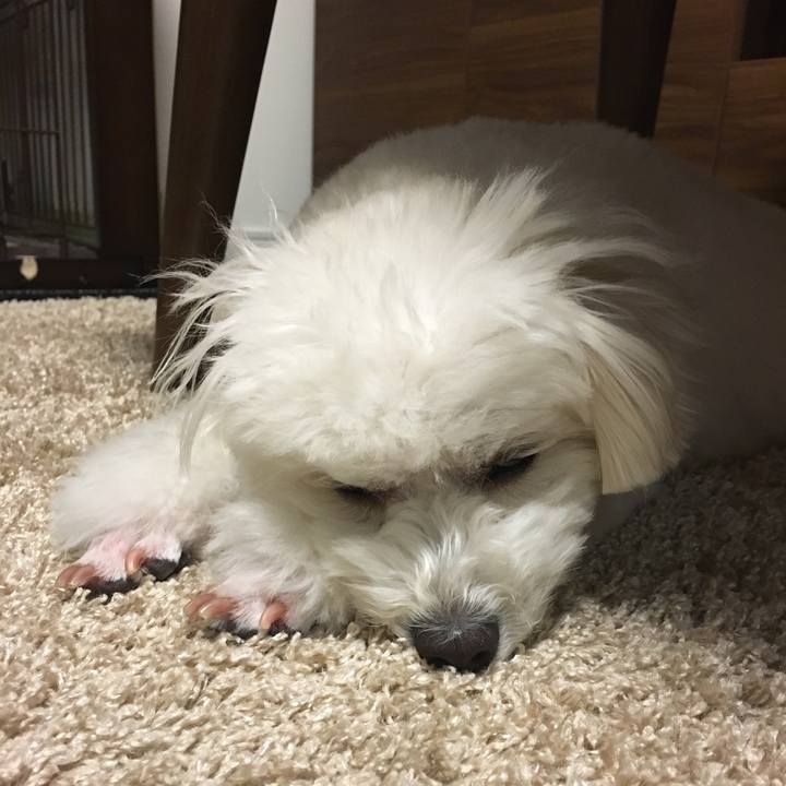 F1f85aa0 a691 4859 abec 2bb8cb73f313 1556636599322