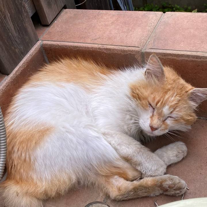 F1f87557 157b 4c63 ba7e 7784b203c22a 1657406660430