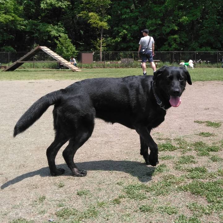 F1f88f00 c402 49ad b22b 534332f9f34c 1556940269867