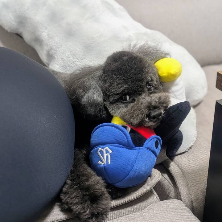 F1f8b17f 8447 4669 a5bc 446ac974e007 1761112064428