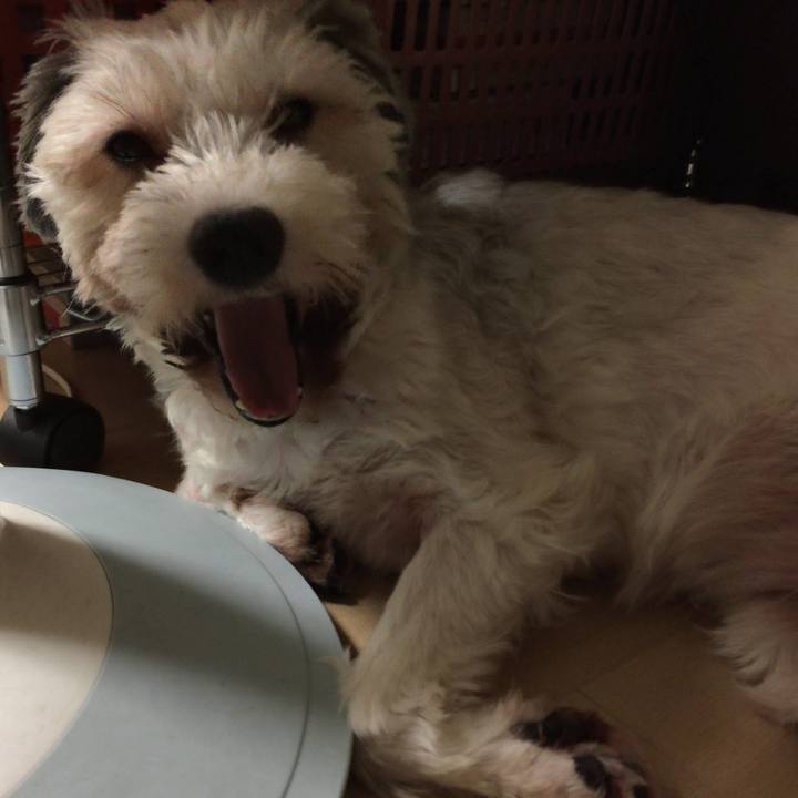 F1f8c168 684c 42dd 82a7 5fca195f7b7d 1531054000014