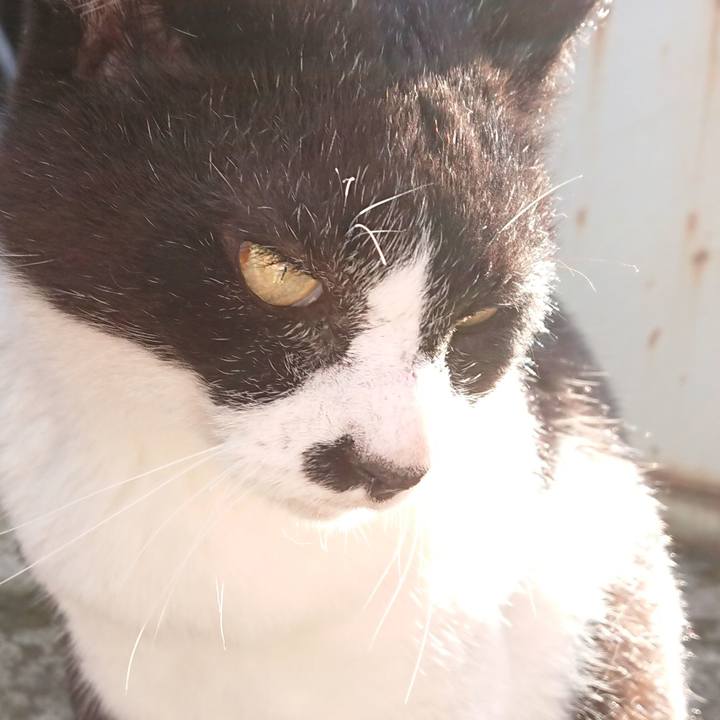 F1f8d4a8 e0dc 4520 ac13 9d524be9c0f0 1622276340057