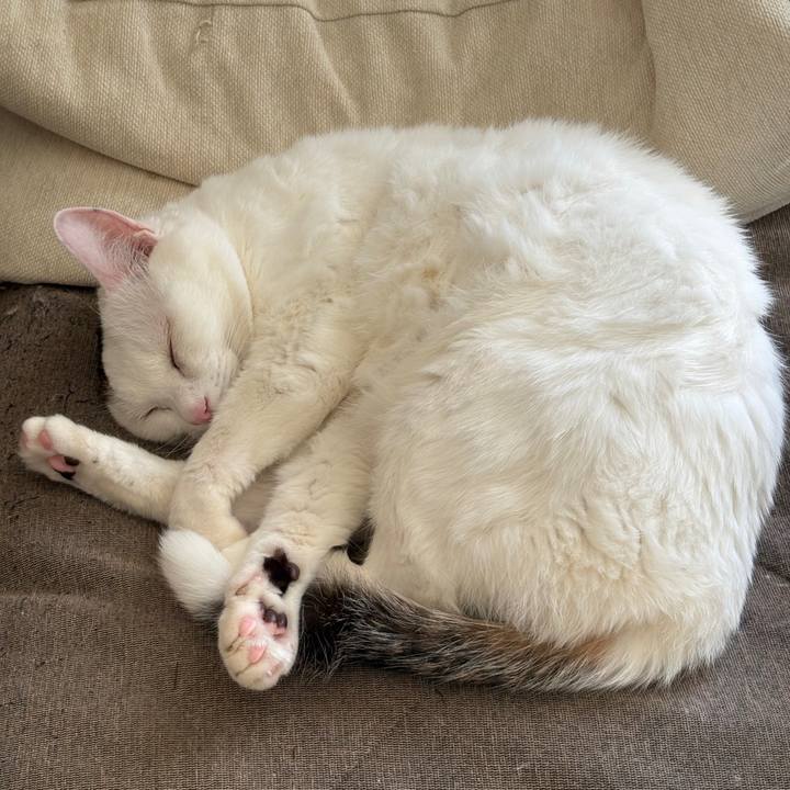 F1f9002a cb6e 4689 b3ac 1c062ed2fbba 1766022387086