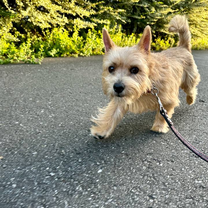 F1f901a4 36c2 41d0 bb10 16ebfbc4b27c 1729592249105