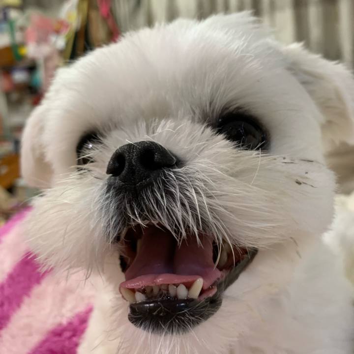 F1f94c84 2d77 459e 87d8 a463eebefc99 1650975105510