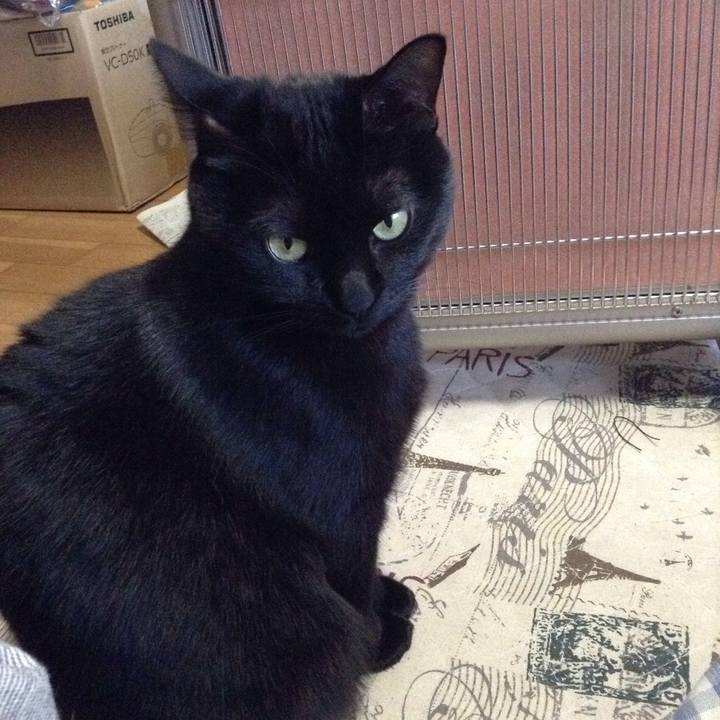 F1f96de4 f9a7 41c5 bd6b f864ebe41f52 1513138588232