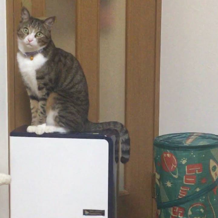 F1fa6ab3 211e 416a aeec f6b97861a40d 1709725795623