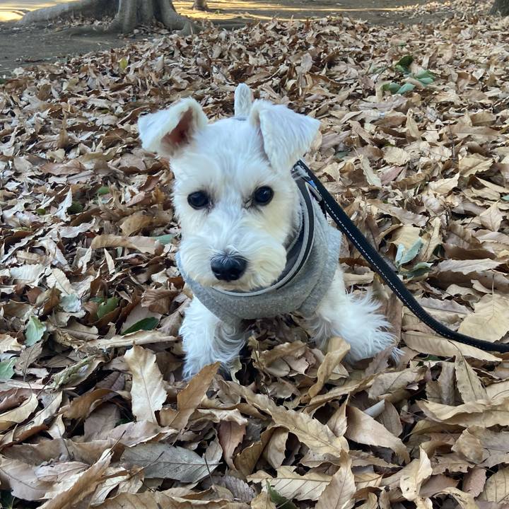 F1fabc0c 9782 466f 8ddb fb5420837252 1768195706281