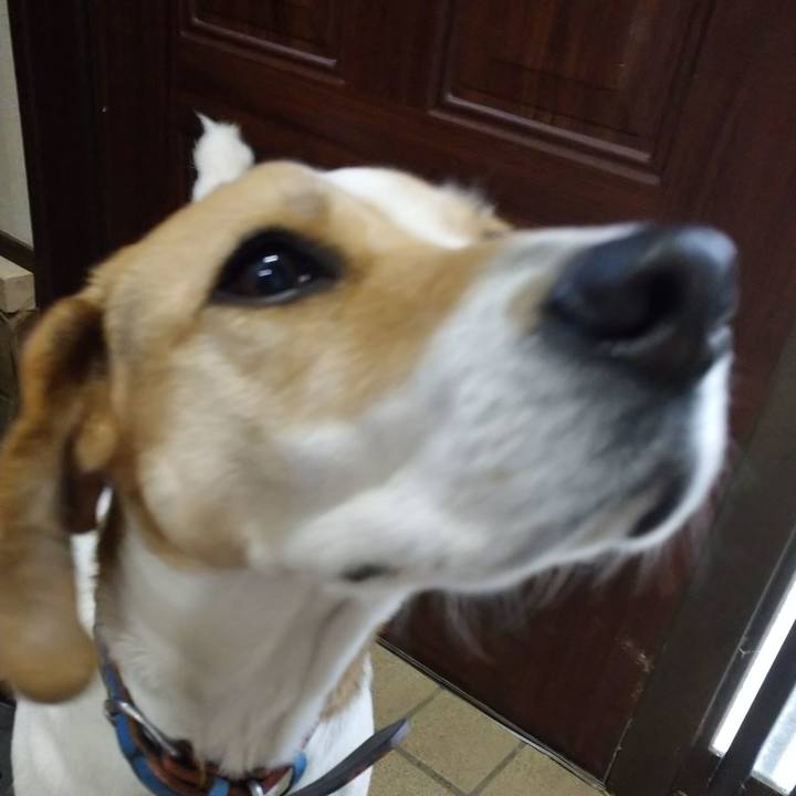 F1fad6b5 a903 44e8 8b91 4c6dd1b60535 1612797162265