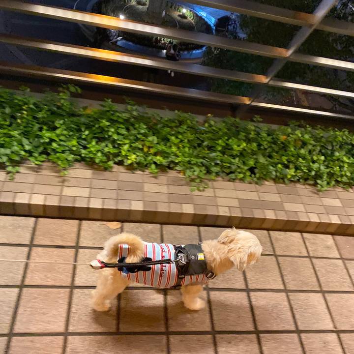 F1faeee6 7cf8 4a01 8da8 793883ff10f7 1572085529980