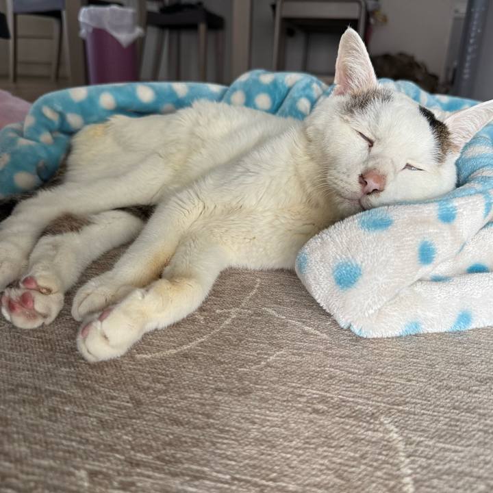 F1fb2348 fd5d 462b bc5a 37e6d976cf35 1764379870889